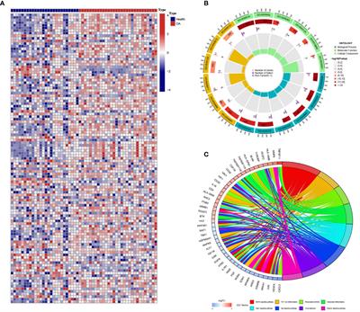 Identification of five hub immune genes and characterization of two immune subtypes of osteoarthritis